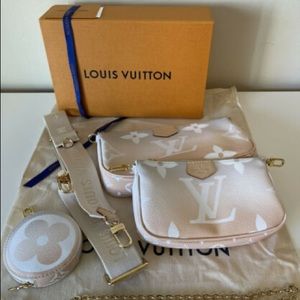 Louis Vuitton Multi Pochette Accessories Bag